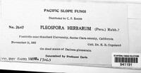 Stemphylium vesicarium image